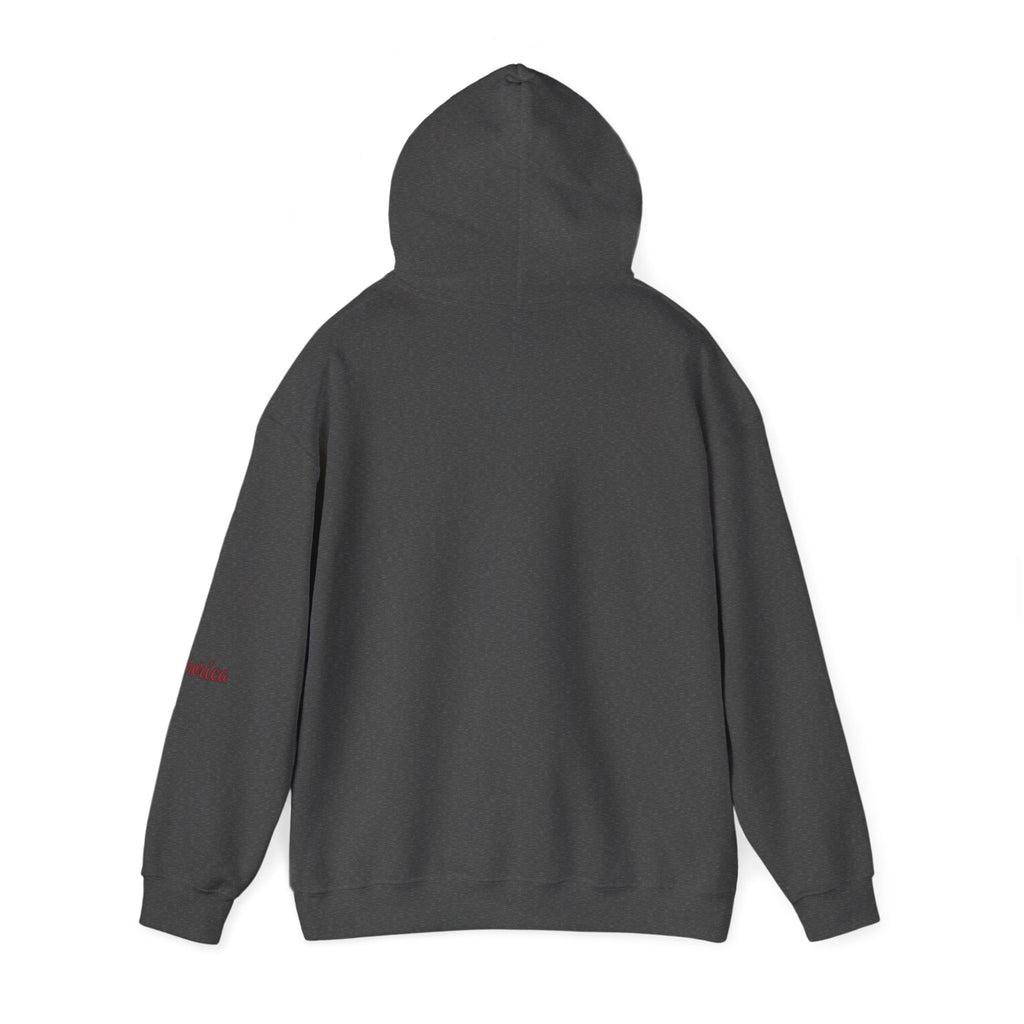Tiger Graphic Hoodie — Urban Neon Grunge Pullover