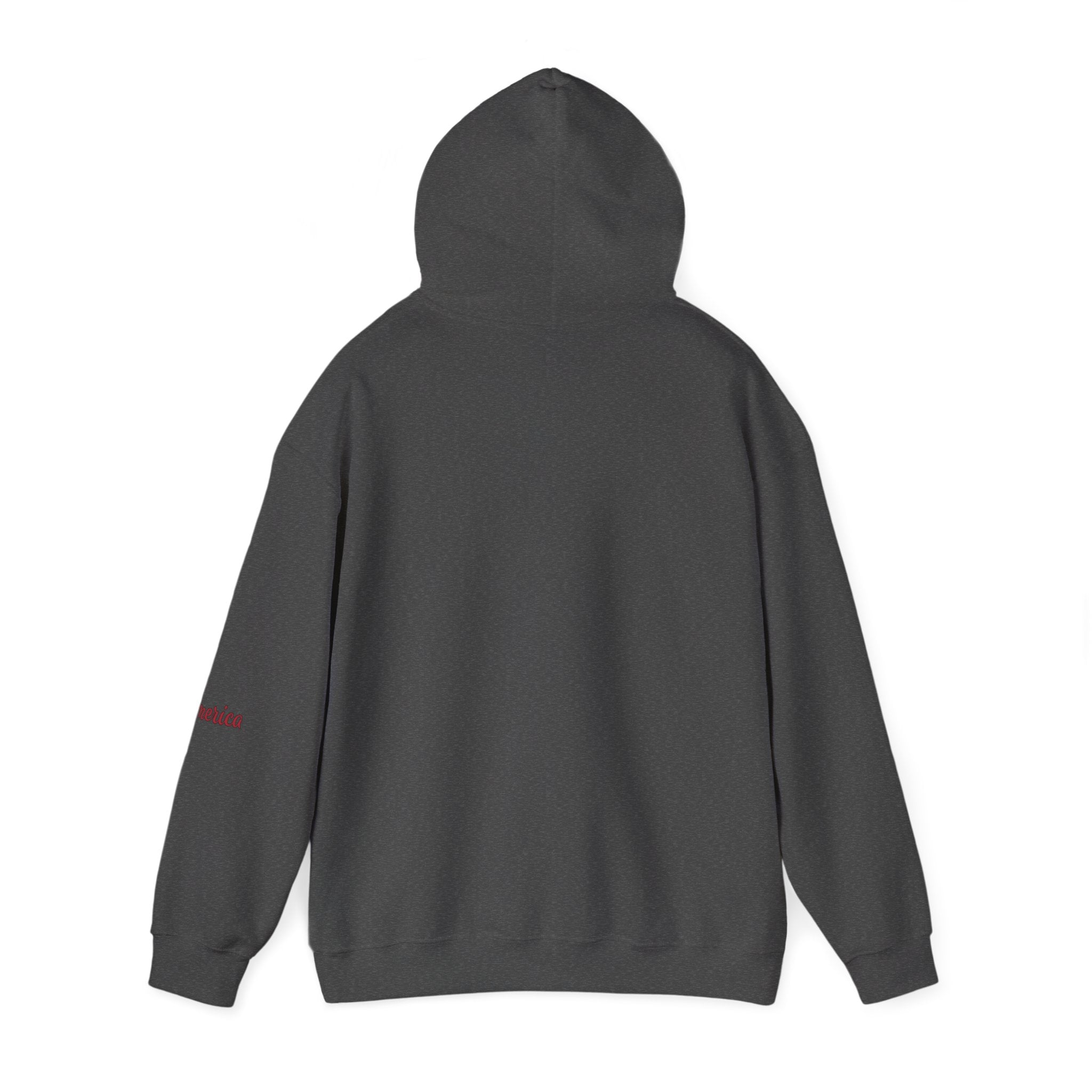 Tiger Graphic Hoodie — Urban Neon Grunge Pullover