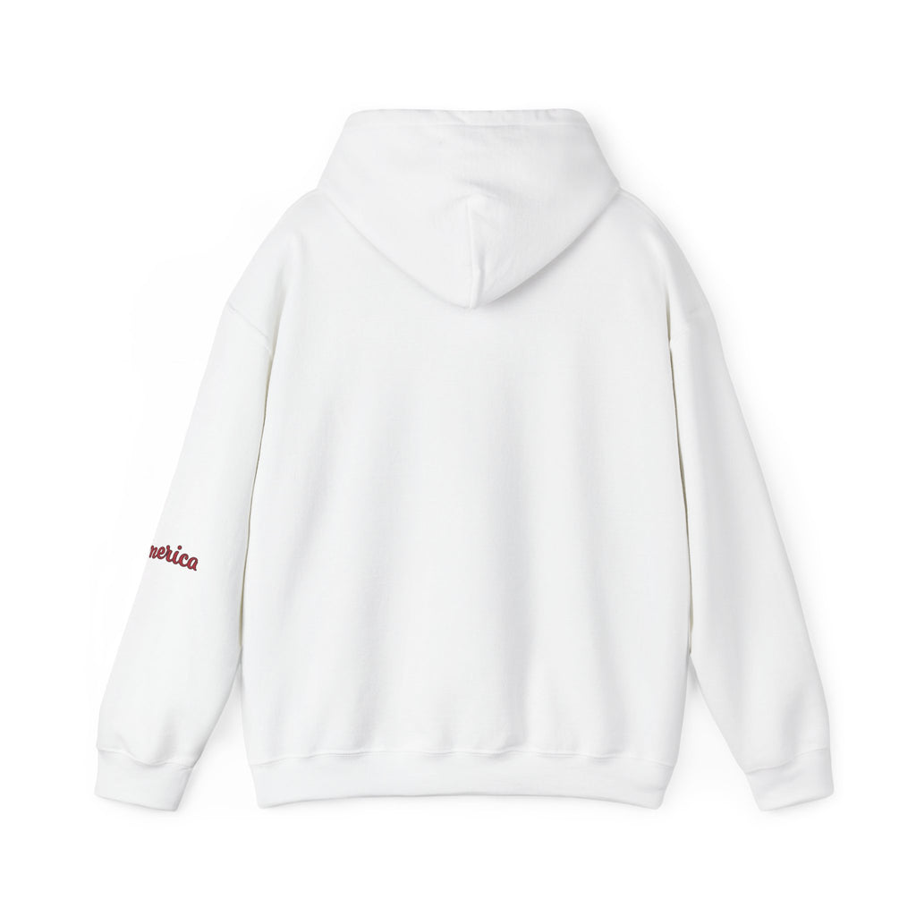 Tiger Graphic Hoodie — Urban Neon Grunge Pullover