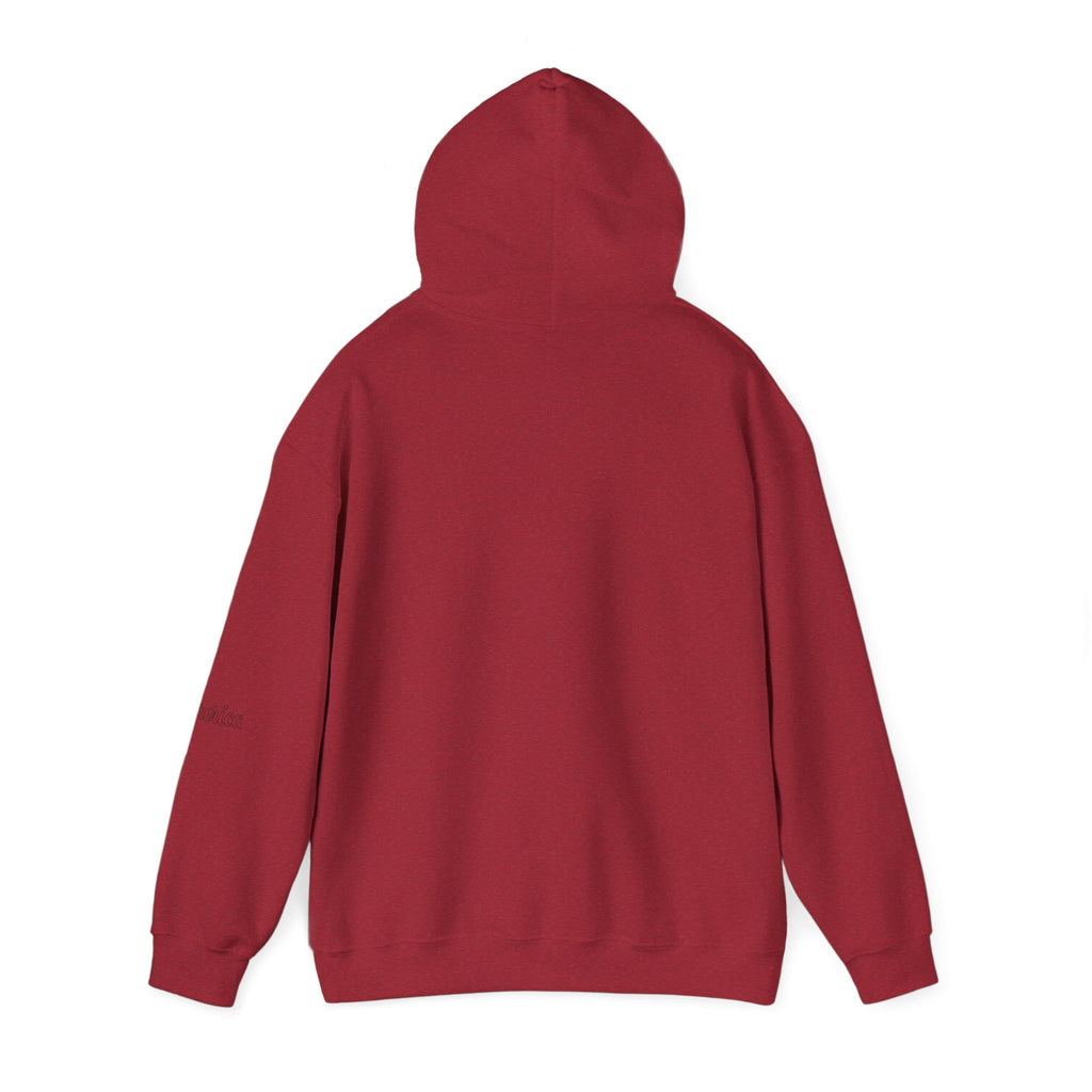 Tiger Graphic Hoodie — Urban Neon Grunge Pullover