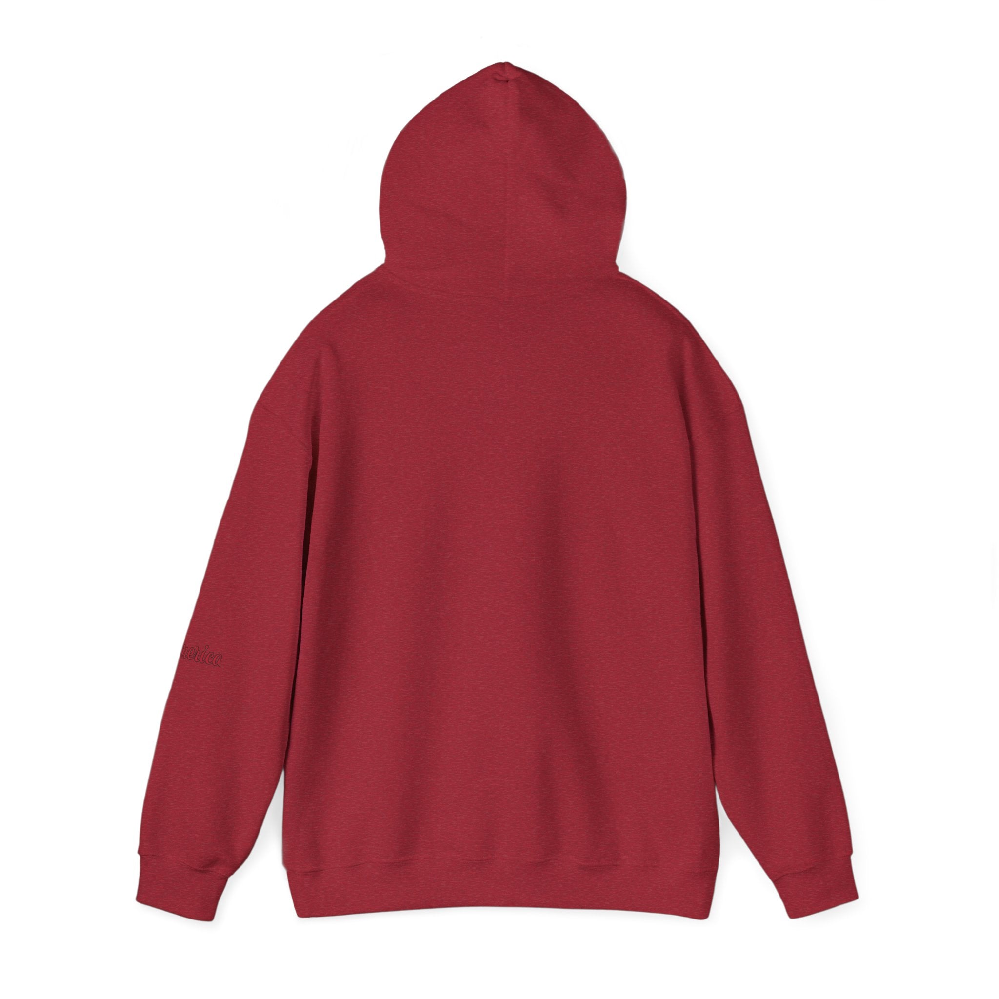 Tiger Graphic Hoodie — Urban Neon Grunge Pullover