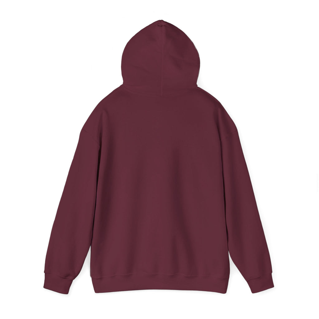 Paisley Pattern Hoodie — Colorful Boho Graphic Pullover