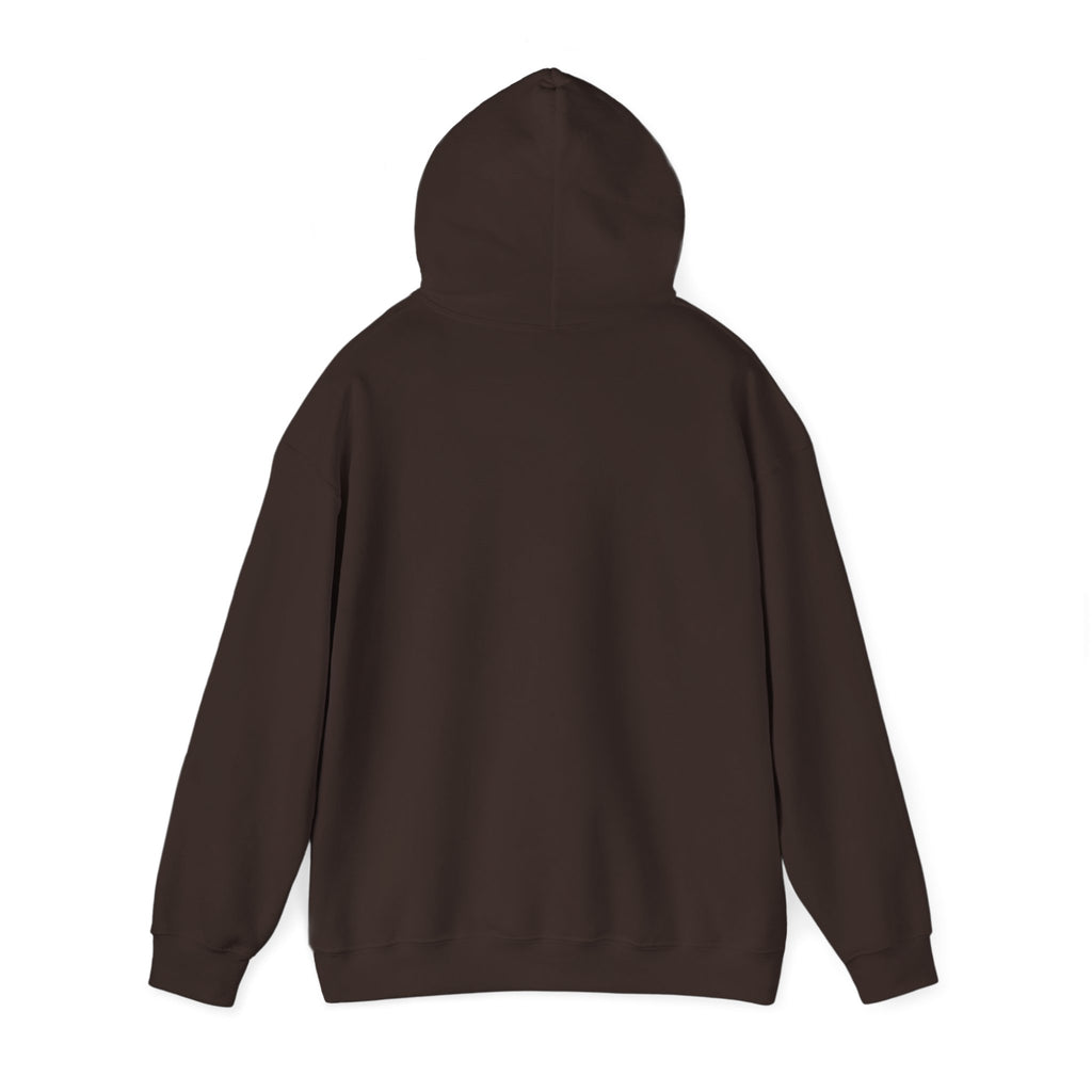 Paisley Pattern Hoodie — Colorful Boho Graphic Pullover