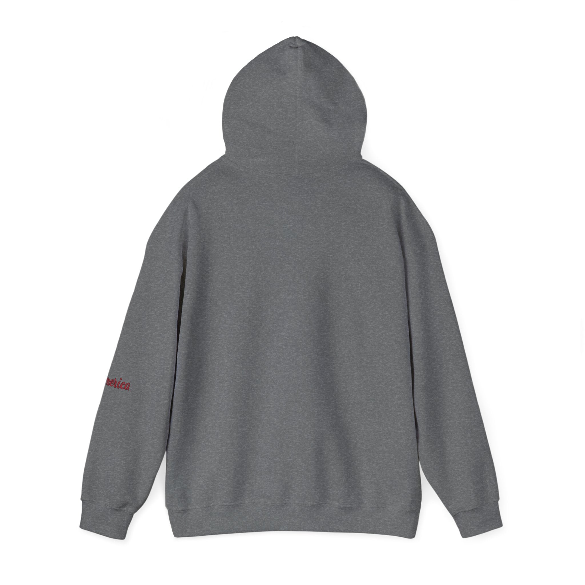 Tiger Graphic Hoodie — Urban Neon Grunge Pullover