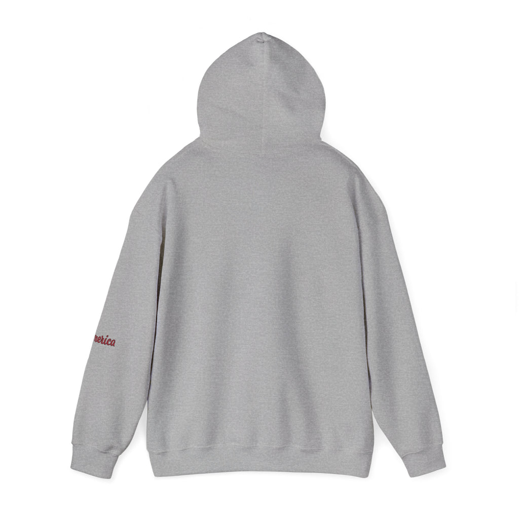 Tiger Graphic Hoodie — Urban Neon Grunge Pullover