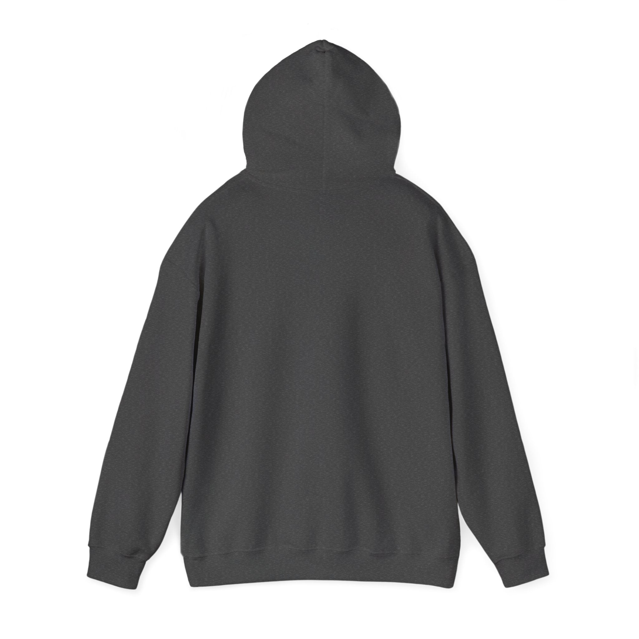 Paisley Pattern Hoodie — Colorful Boho Graphic Pullover