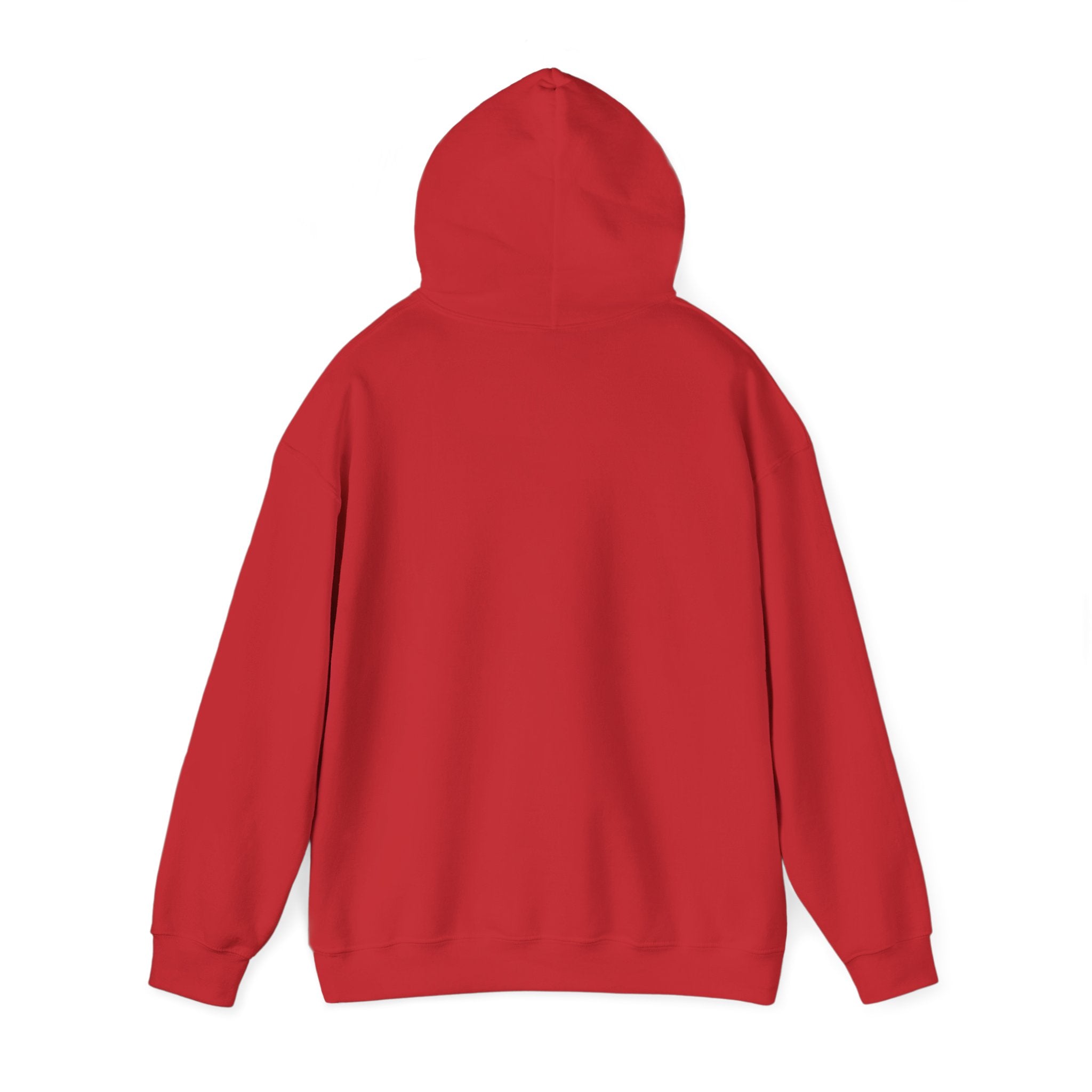 Paisley Pattern Hoodie — Colorful Boho Graphic Pullover