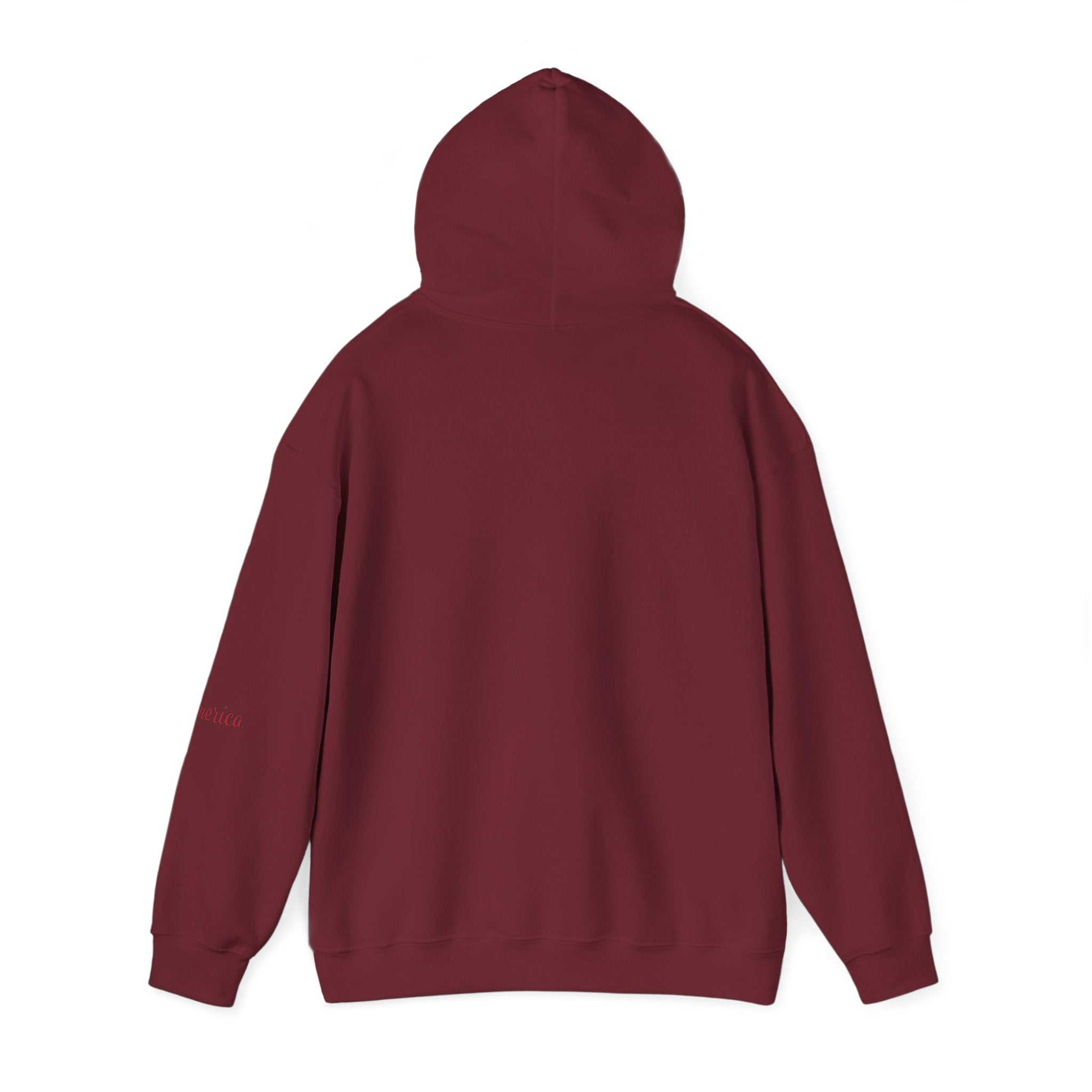 Tiger Graphic Hoodie — Urban Neon Grunge Pullover