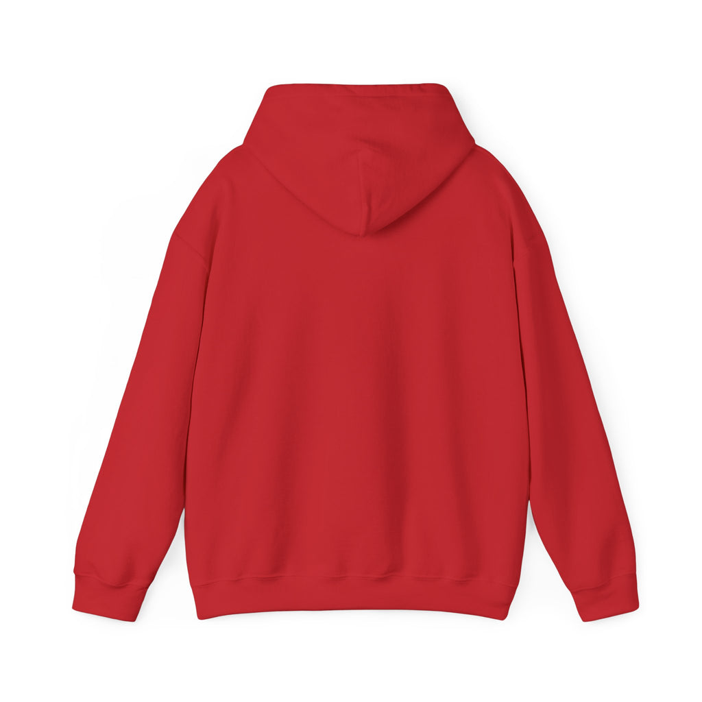 Paisley Pattern Hoodie — Colorful Boho Graphic Pullover