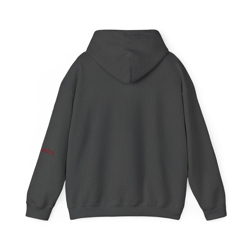 Tiger Graphic Hoodie — Urban Neon Grunge Pullover